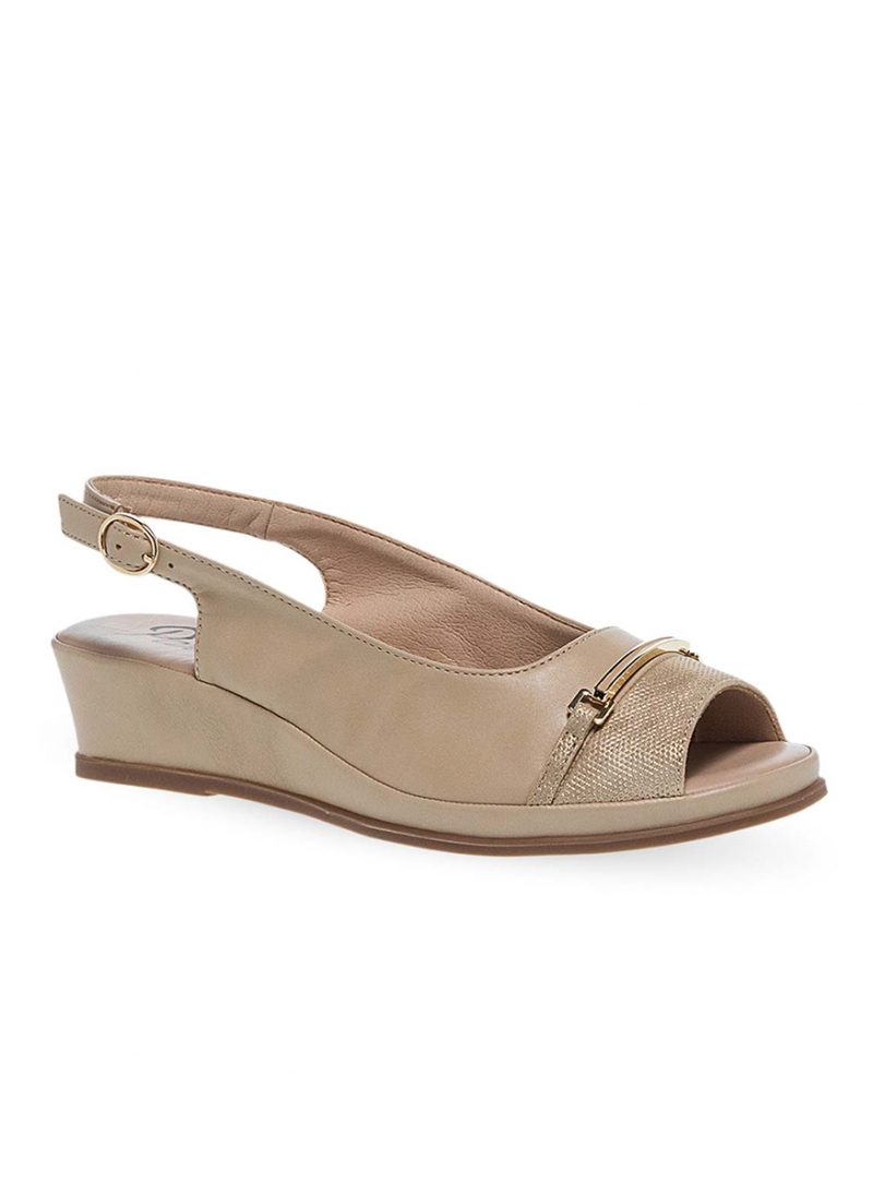 ΓΥΝΑΙΚΕΙΑ ΑΝΑΤΟΜΙΚΑ ΔΕΡΜΑΤΙΝΑ ΠΕΔΙΛΑ PAREX