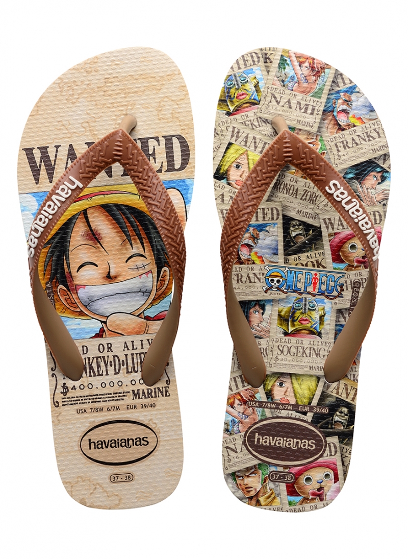 ΣΑΓΙΟΝΑΡΕΣ HAVAIANAS TOP ONE PIECE