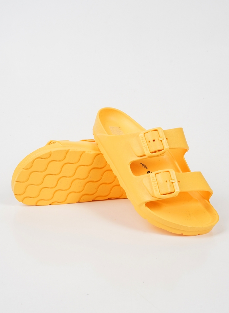 SLIDES PLAKTON 760010